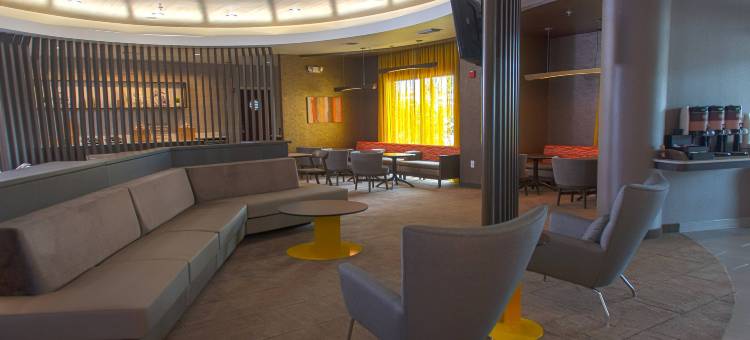 休斯敦皮尔兰SpringHill Suites酒店(SpringHill Suites Houston Pearland)图片