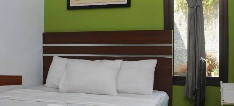 德贾提之家(DeJati House)图片