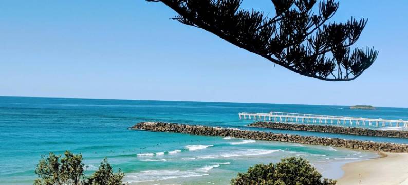 城市之光汽车旅馆(City Lights Motel)图片