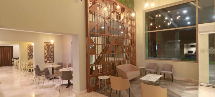 蒙特雷皇家山谷温德姆花园酒店(Wyndham Garden Monterrey Valle Real)图片