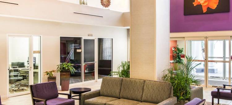 东铭基舒适套房酒店(Comfort Suites Maingate East)图片