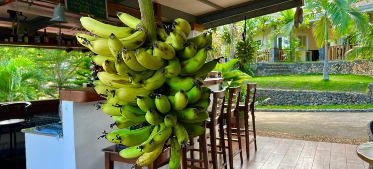 锡基霍尔岛南山度假村(Southmountain Resort Siquijor Island)图片