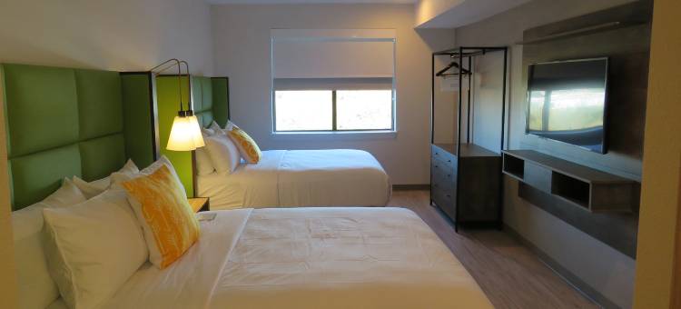 克利奇站温德姆花园酒店(Wyndham Garden College Station)图片