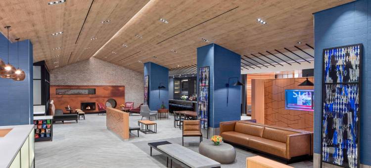 纽约曼哈顿／时代广场南 SpringHill Suites 酒店(SpringHill Suites New York Manhattan/Times Square South)图片