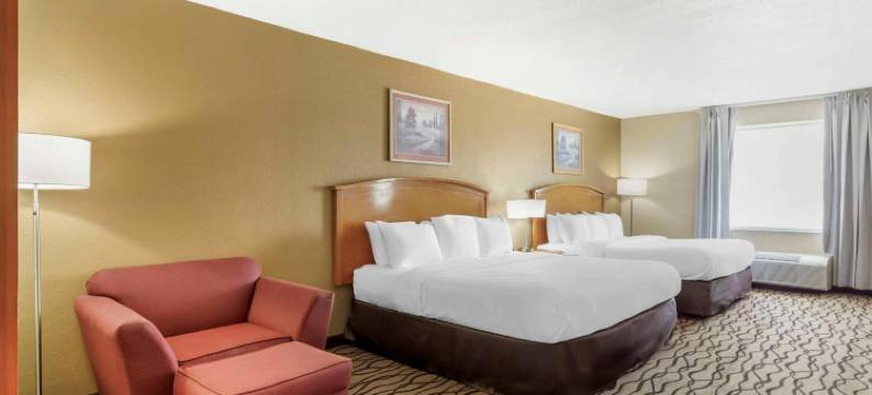 切萨皮克朴茨茅斯舒适套房酒店(Comfort Inn & Suites Chesapeake - Portsmouth)图片