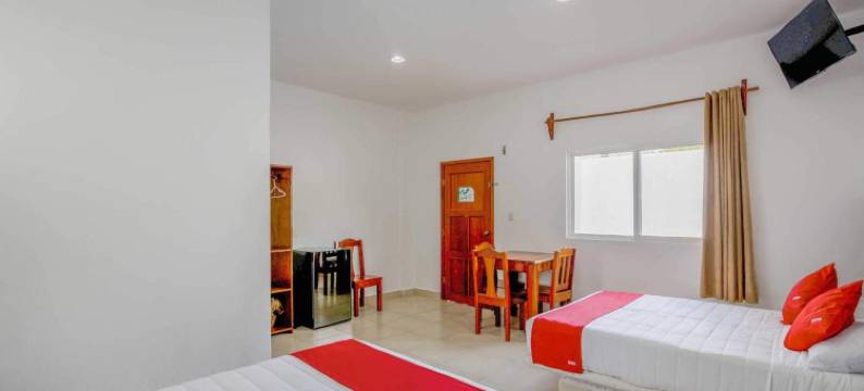 OYO 帕尔马皇家酒店(OYO Hotel Palma Real)图片