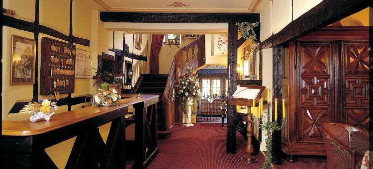 勒马雷夏尔酒店(Hostellerie le Marechal Colmar)图片