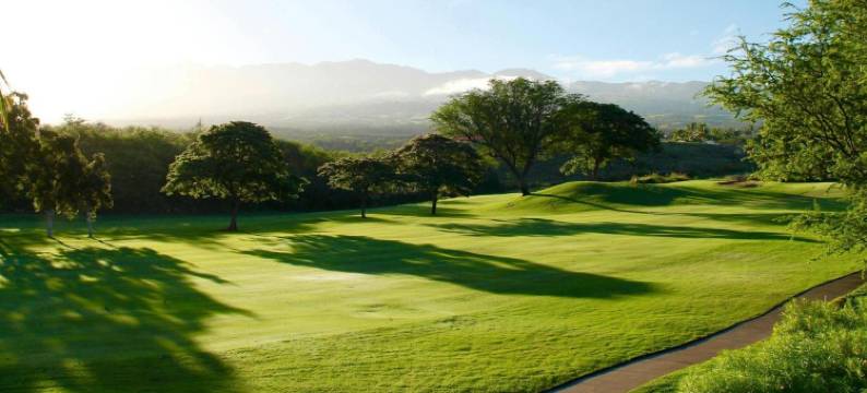 卡通巴庄园酒店(Katoomba Manor)图片