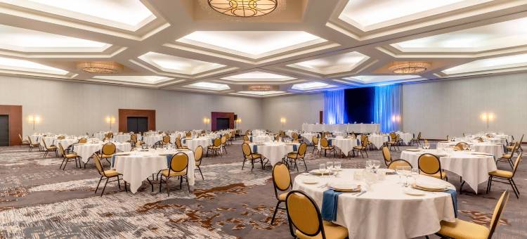 明尼阿波利斯西北万豪酒店(Minneapolis Marriott Northwest)图片