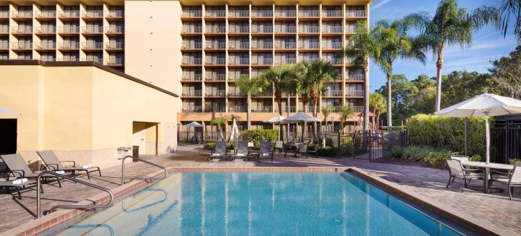 Holiday Inn & Suites 主门东(Holiday Inn & Suites Orlando SW - Celebration Area)图片