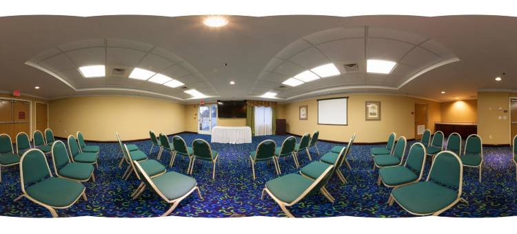 塔瓦雷斯智选假日酒店及套房(Holiday Inn Express & Suites Tavares - Leesburg)图片