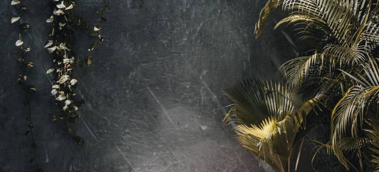 Casa Hormiga蚂蚁之家(Hotel Casa Hormiga)图片