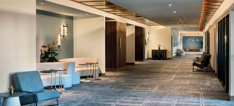 斯普林菲尔德市中心万豪酒店(Marriott Springfield Downtown)图片