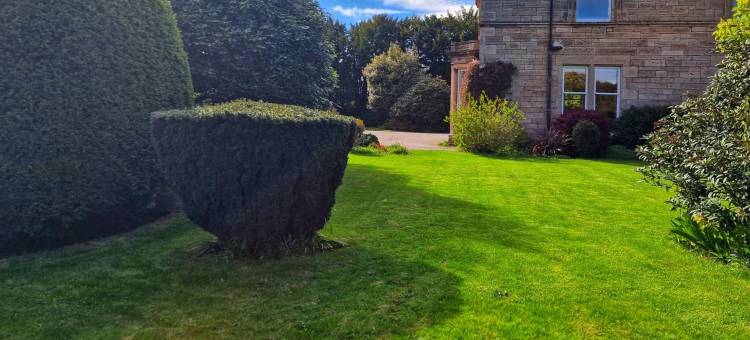 松树旅馆(The Pines Guest House)图片