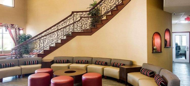 舒适套房酒店-盖恩斯维尔(Comfort Suites Gainesville)图片