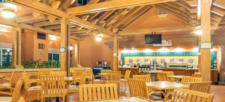 Holiday Inn Express 托雷翁(Holiday Inn Express Torreon)图片