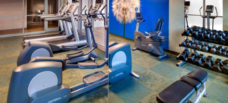 费城威洛格罗夫万豪SpringHill酒店(WILLOW GROVE INN by IHG)图片