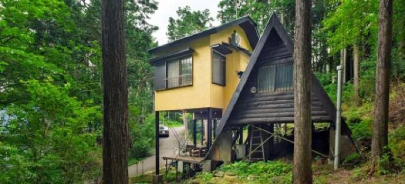 南箱根树屋(Minami Hakone Tree House)图片