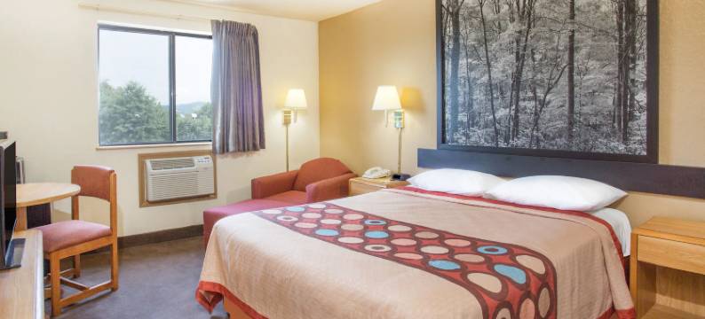 莱克星顿速8酒店(Super 8 by Wyndham Lexington VA)图片