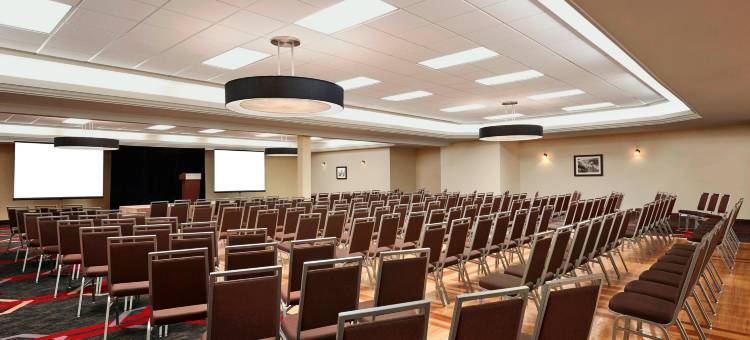 南埃德蒙顿福朋喜来登酒店(Four Points by Sheraton Edmonton South)图片