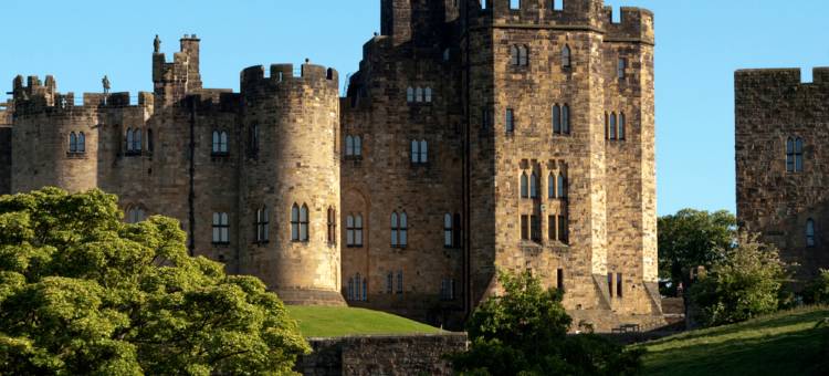 黑天鹅酒店(Black Swan)图片