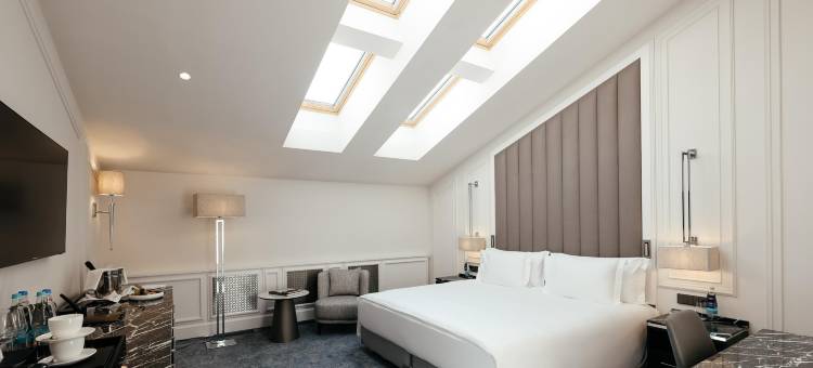 Cosmos Selection Saint-Petersburg Italyanskaya图片