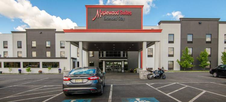 锡拉丘兹机场假日套房酒店(Holiday Inn & Suites - Syracuse/Airport)图片