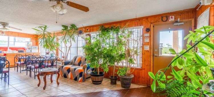OYO 维农德州287号公路孤星旅馆(Lone Star Inn by OYO Vernon Texas Hwy 287)图片