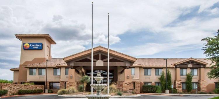 本森卡切内岩洞舒适酒店(Comfort Inn Benson Near Kartchner Caverns)图片