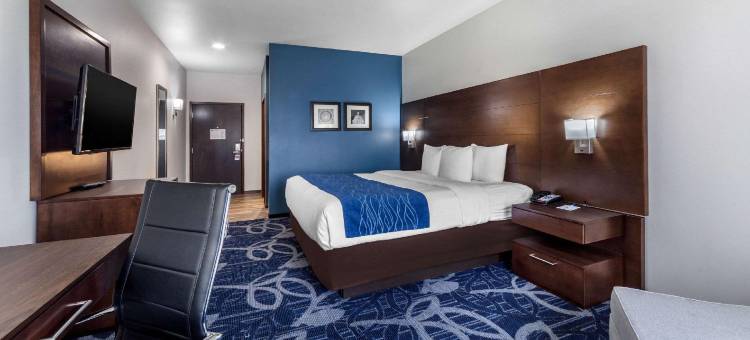 俄克拉何马城舒适酒店(Comfort Inn & Suites Oklahoma City South I-35)图片
