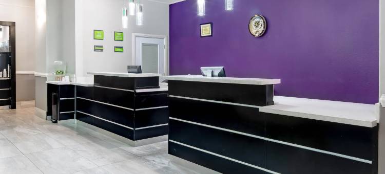 麦卡伦东阿拉莫拉昆塔温德姆套房酒店(La Quinta Inn & Suites by Wyndham Alamo - McAllen East)图片