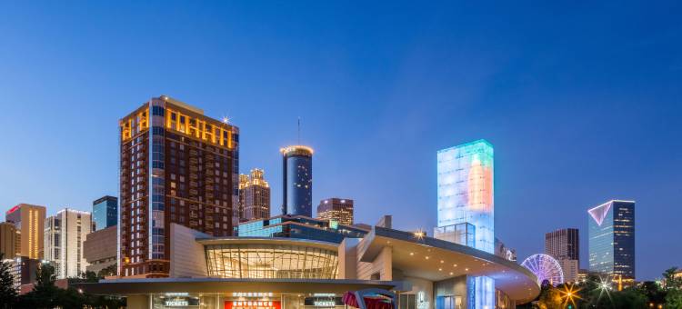 亚特兰大丽思卡尔顿酒店(The Ritz-Carlton, Atlanta)图片