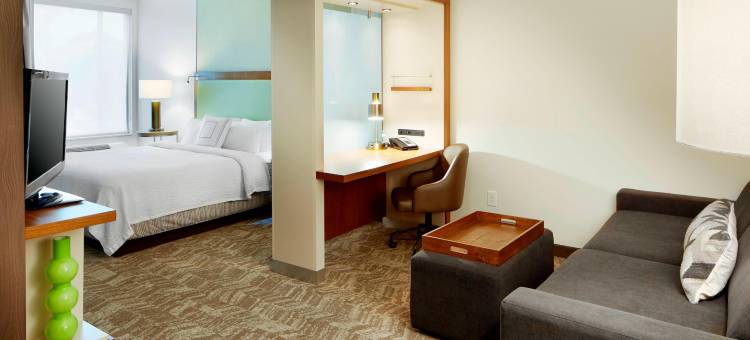 哥伦布俄亥俄州立大学万豪SpringHill酒店(SpringHill Suites Columbus OSU)图片