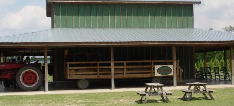 杰克森维尔万枫套房酒店(Fairfield Inn & Suites Jacksonville)图片