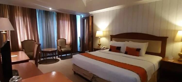 大埃尔蒂酒店(Grand Elty Singgasana Tenggarong)图片