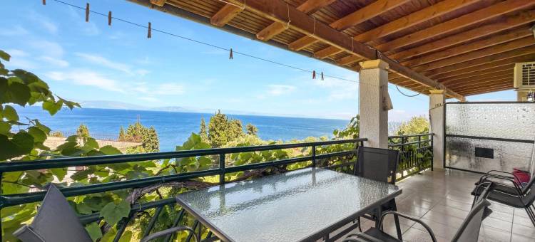 安德罗马切斯假日公寓酒店(Corfu Andromaches Holiday Apartments)图片