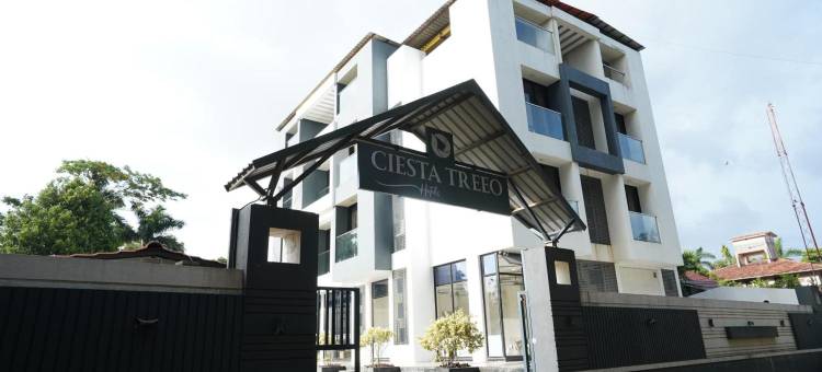 西恩斯塔三重奏(Ciesta Treeo)图片