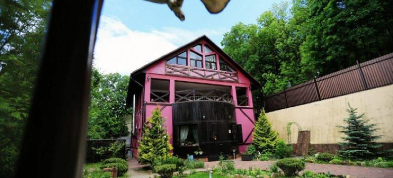 Golden Goose Guest House图片