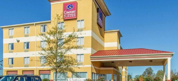 佛罗伦萨浅滩区舒适套房酒店(Comfort Suites Florence Shoals Area)图片