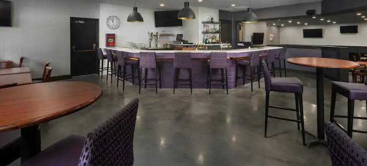 曼哈顿希尔顿逸林酒店(DoubleTree by Hilton Manhattan)图片