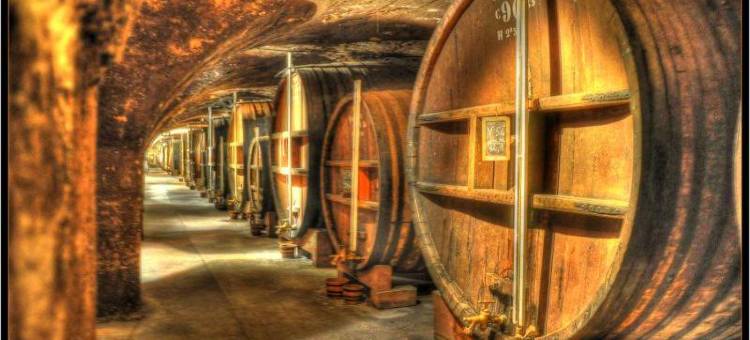 格勒诺布尔沃雷普宜必思快捷酒店(ibis budget Grenoble Voreppe)图片