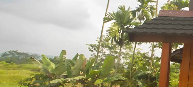 Jajapin Kancra Kayaking图片