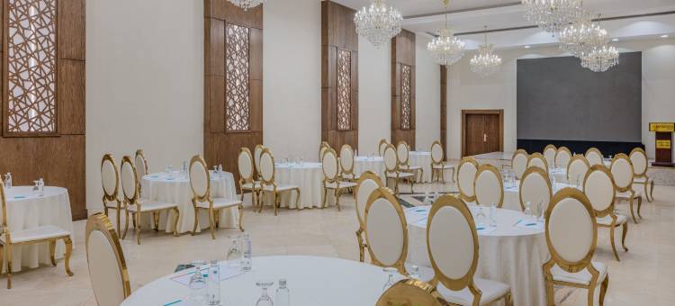 麦地那艾美酒店(Le Méridien Medina)图片