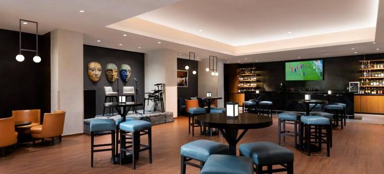 海得拉巴会议中心诺富特酒店(Novotel Hyderabad Convention Centre)图片