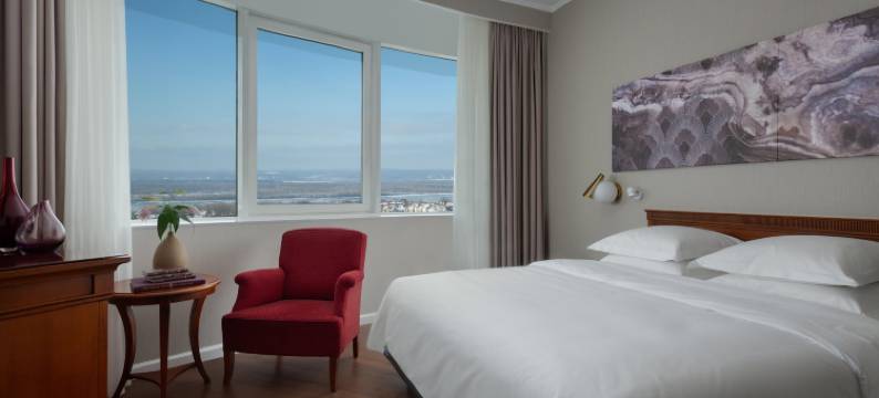 萨马拉复兴酒店(Realliance Samara Hotel (Ex Renaissance Samara))图片