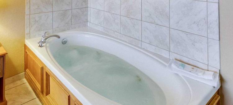 弗雷德里克斯堡舒适套房酒店(Comfort Inn and Suites Fredericksburg)图片