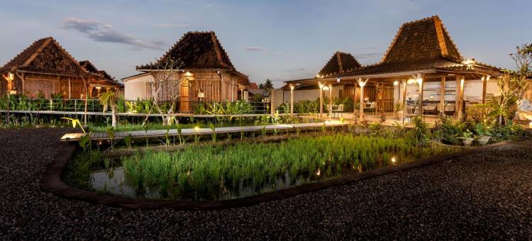 乌布 DITUJU(DITUJU Ubud by GenuineHost)图片