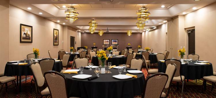 Holiday Inn 阿马里洛西部医疗中心(Holiday Inn Amarillo West Medical Center)图片