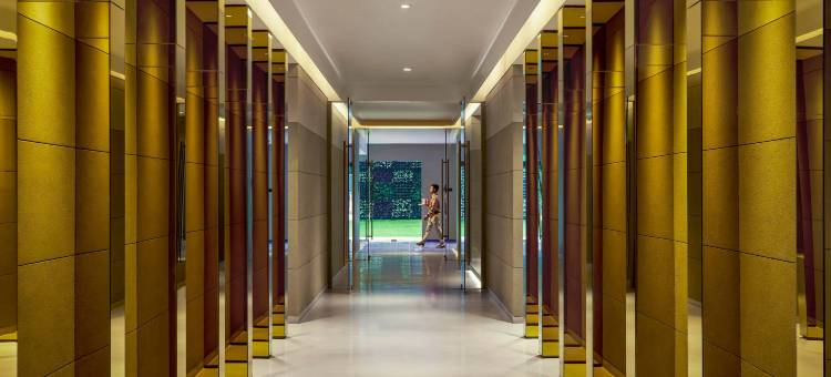 昌迪格17 区凯悦尚萃酒店(Hyatt Centric Sector 17 Chandigarh)图片