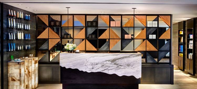 韦尔海斯豪华精选度假村(The Hythe, a Luxury Collection Resort, Vail)图片